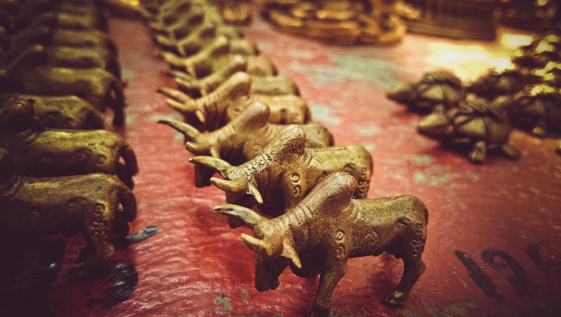 Street Art With Tamra metal Bulls — Sim Hợp Tuổi Tý (Chuột) - Số Đẹp & Mệnh