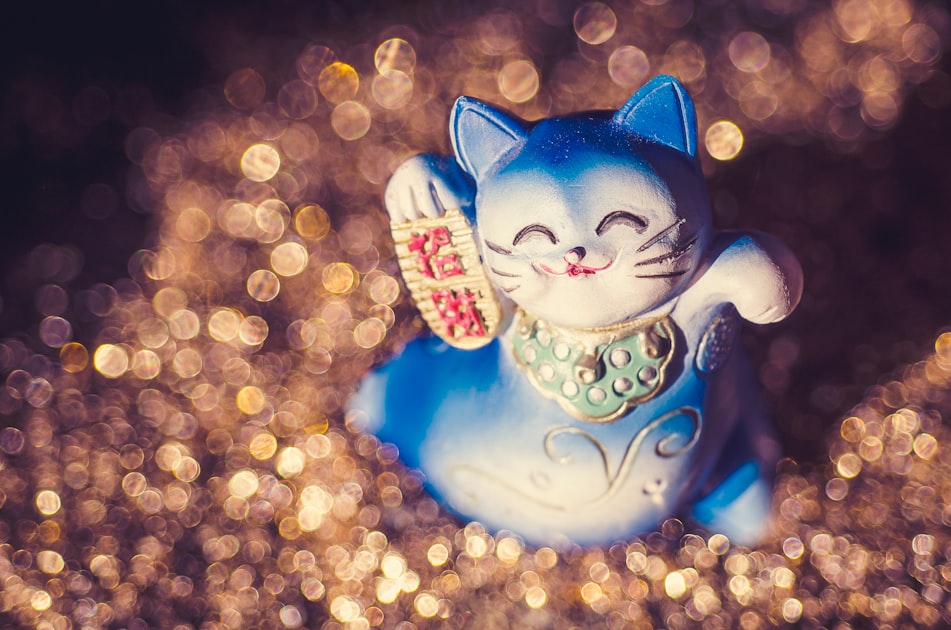 Meneki Neko sitting in some glitter! My photos will always be free, but if you want to help a girl out, PayPal is linked i...